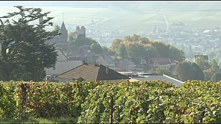 El paisaje vinícola de Bourgnogne, patrimonio de la Unesco