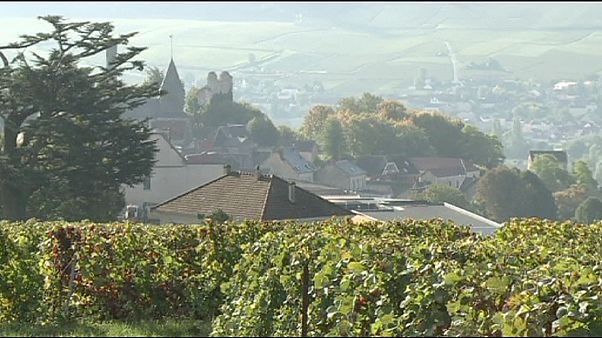 Champagne, patrimonio mondiale dell'Umanità Champagne, patrimonio mondiale dell'Umanità