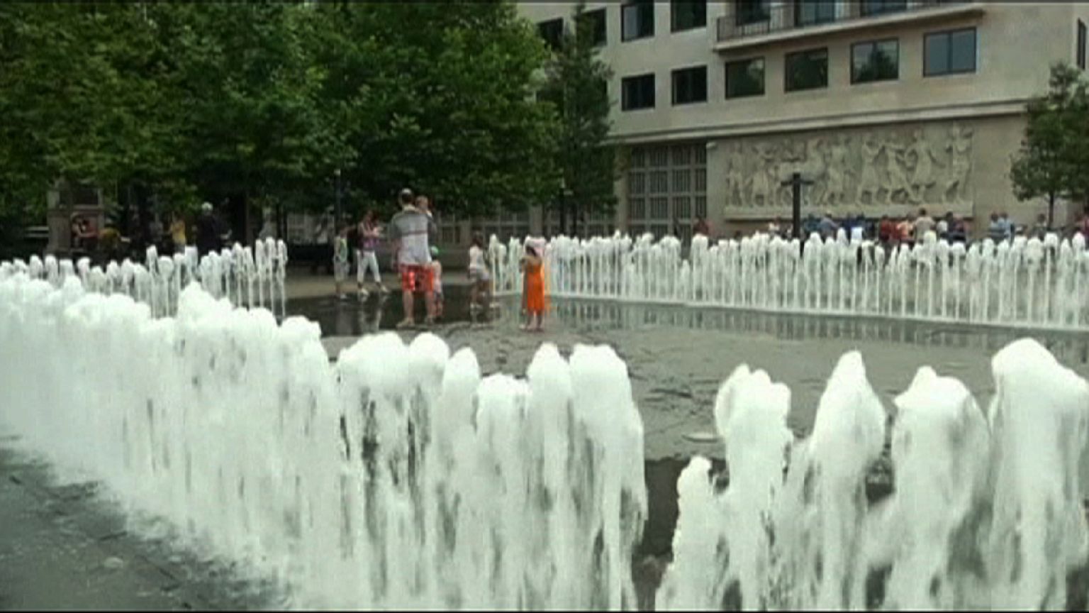 Humans and animals splash around as heatwave hits Hungary