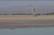 Salton Denizi kuruyor