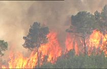 L'Espagne face à de violents feux de forêt