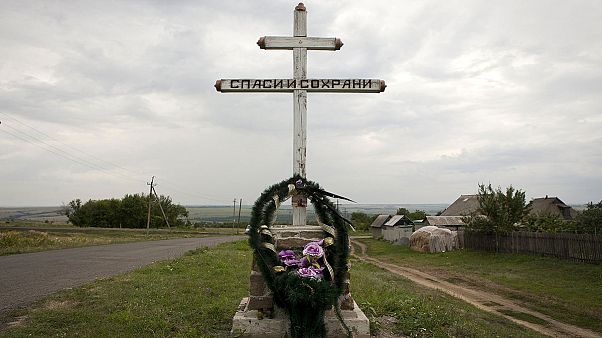 Катастрофа MH17: год спустя Катастрофа MH17: год спустя