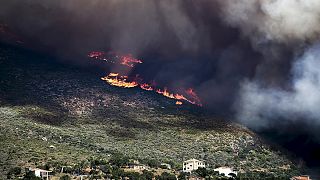 Violentos incêndios na Grécia