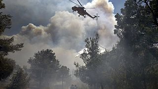 Two arrested as Greece fires brought under control