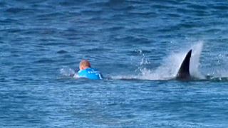 Watch: Surfer fights off shark attack mid-competition