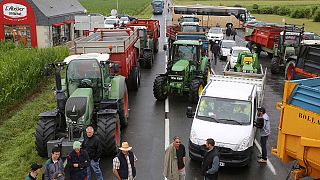 Фермеры Франции, протестуя, мешают туристам