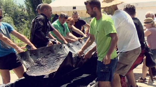 Eslovénia: Arqueólogos recuperam piroga com mais de dois mil anos Eslovénia: Arqueólogos recuperam piroga com mais de dois mil anos
