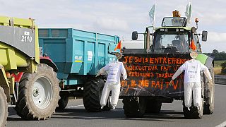 Düşük fiyatlara tepki gösteren Fransız çiftçilerin protestoları devam ediyor