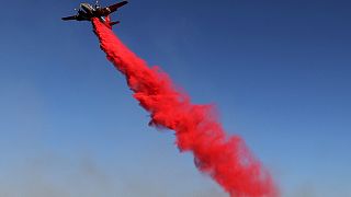 La vallée de Napa en proie aux flammes