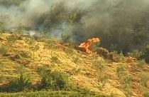 Лесные пожары в Албании
