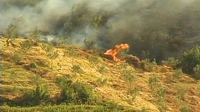 آتش سوزی در جنگلهای آلبانی
