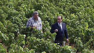 Fransa Cumhurbaşkanı Hollande'dan tarım sektörüne dayanışma çağrısı