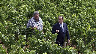 François Hollande: "Esst französisches Fleisch!"