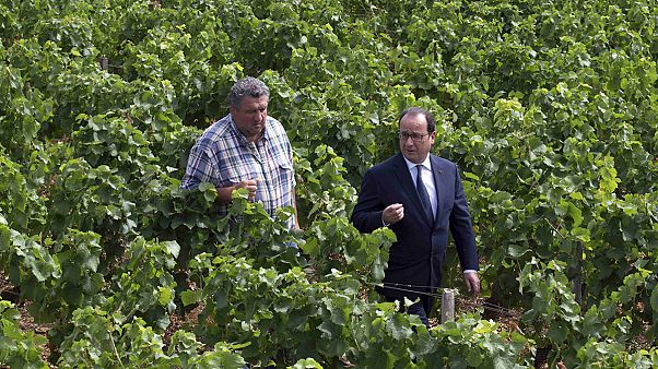 Γαλλία: Ο πρόεδρος αντιμέτωπος με την οργή των κτηνοτρόφων Γαλλία: Ο πρόεδρος αντιμέτωπος με την οργή των κτηνοτρόφων