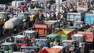 Lyonban tüntettek a francia gazdák