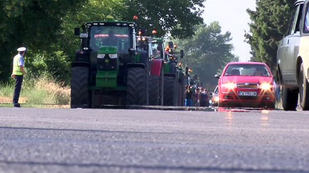 Grogne des agriculteurs en Bulgarie Grogne des agriculteurs en Bulgarie