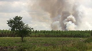 Francia: Fuego controlado en el bosque salvaje más grande de Europa