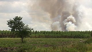 Лесной пожар во Франции