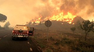 Rekordhitze: Anhaltende Waldbrände vor Barcelona und Bordeaux