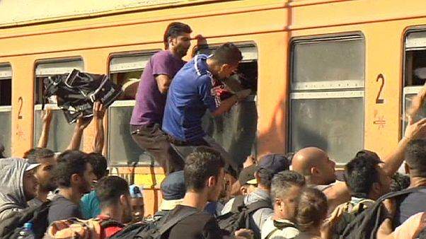 El Ejército de Macedonia se une a la Policía para evitar la entrada masiva de inmigrantes El Ejército de Macedonia se une a la Policía para evitar la entrada masiva de inmigrantes