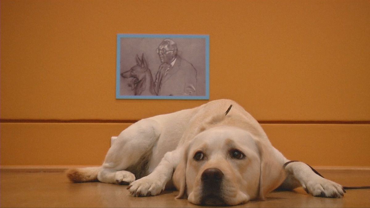 Berlin : une exposition de peinture canine ouverte aux chiens