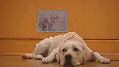 Hund trifft Hund im Museum