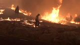 Ισπανία: Εκτεταμένες καταστροφές από τις πυρκαγιές