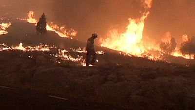 Katalonya'da orman yangınları: 24 saat içinde 1200 hektar ormanlık alan kül oldu