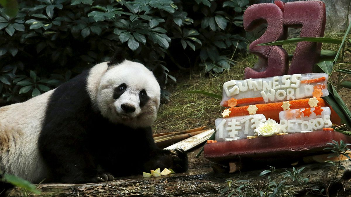 Hong Kong giant panda Jia Jia becomes oldest ever
