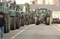 Frankreich: Erneut Proteste von Landwirten nahe der deutschen Grenze