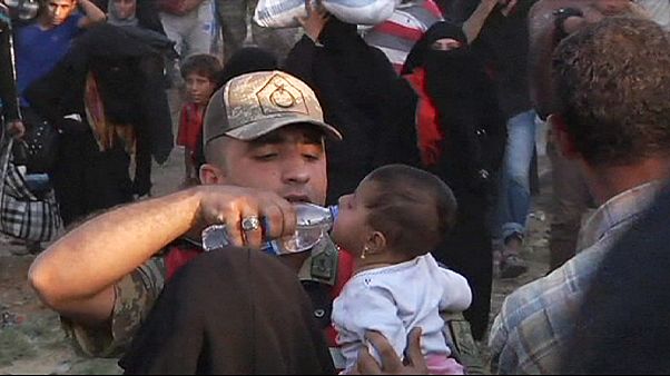 Síria: exército e forças curdas reclamam avanços contra grupo Estado Islâmico Síria: exército e forças curdas reclamam avanços contra grupo Estado Islâmico