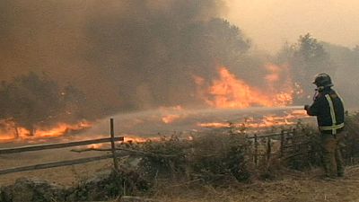 جنگل های اسپانیا در میان شعله های آتش