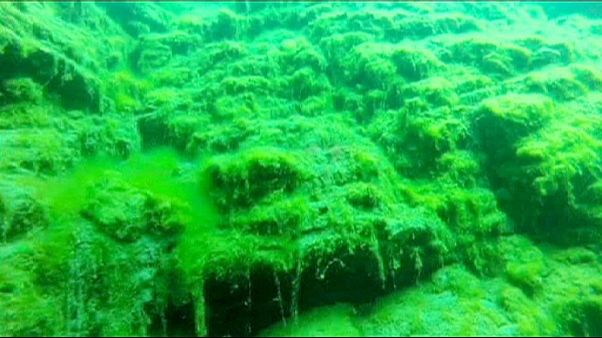Le lac Baïkal vire au vert à cause des algues Le lac Baïkal vire au vert à cause des algues