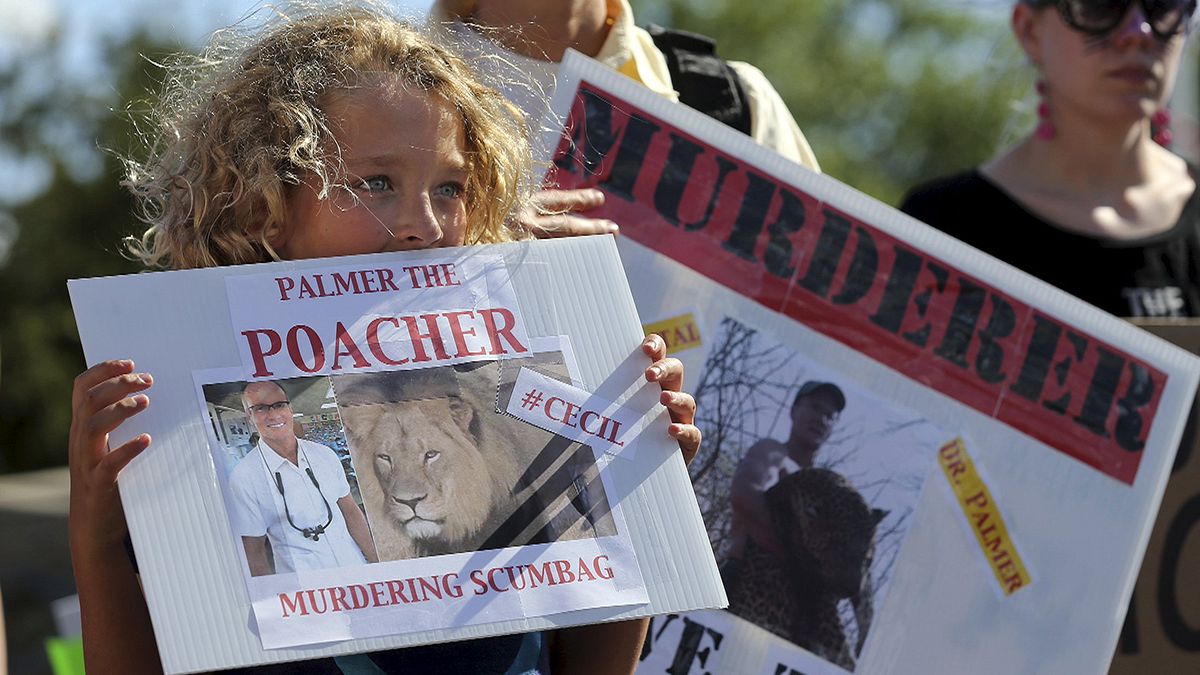 Charges brought over killing of Zimbabwe's famous 'Cecil'