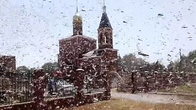 Invasion of the locusts in Russia