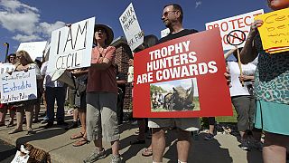 Cecil the lion: angry protesters gather outside Walter Palmer's office
