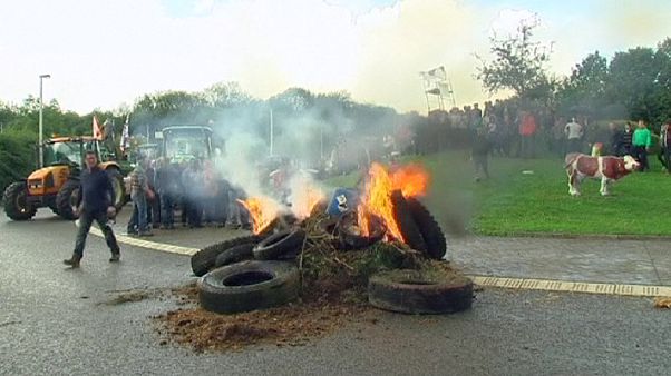 Belgio, agricoltori in protesta contro i prezzi bassi di latte e carne Belgio, agricoltori in protesta contro i prezzi bassi di latte e carne