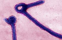 Ebola aşısı bulundu
