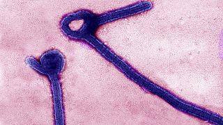 Una vacuna efectiva contra el ébola