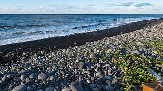 Missing MH370: piece of twisted metal found on Reunion island