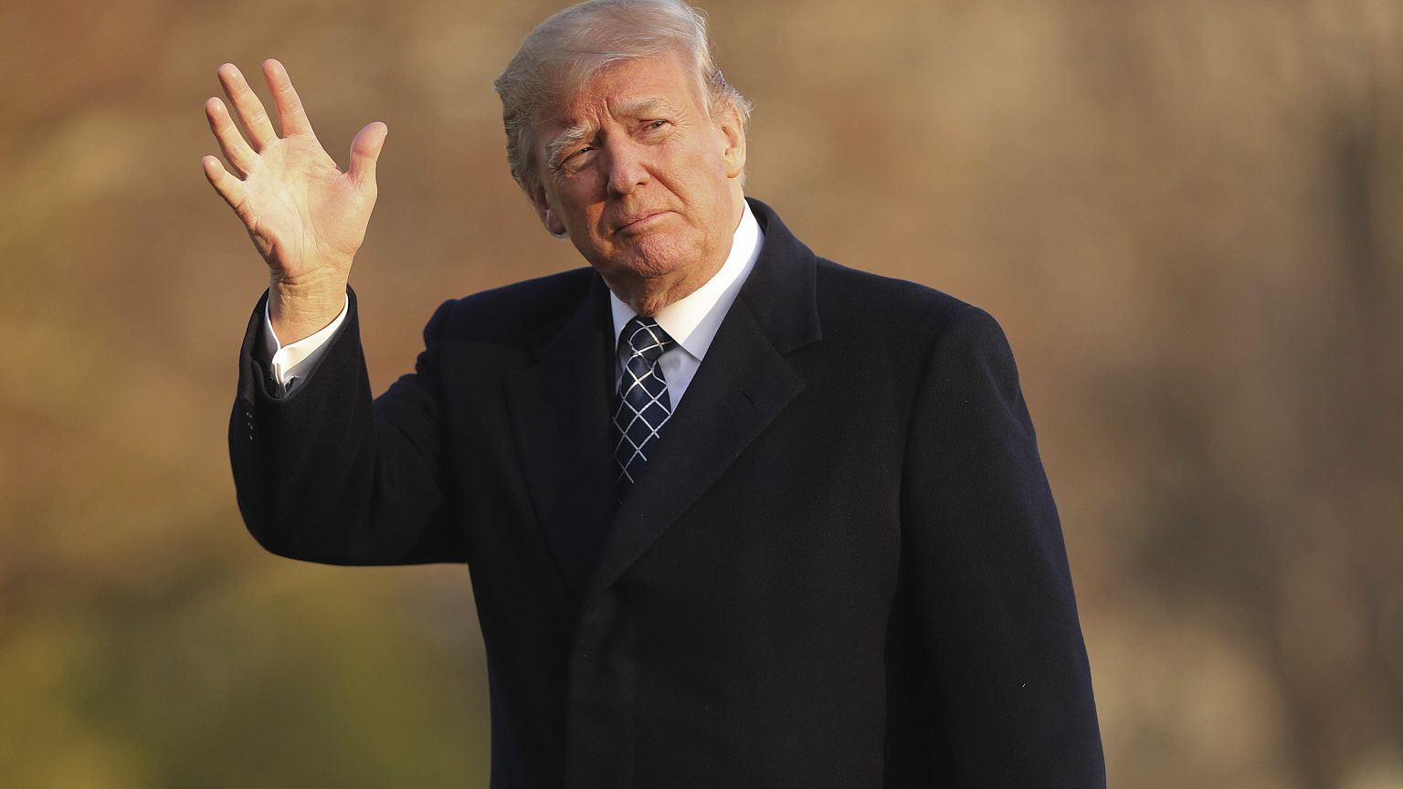 Image: Donald Trump