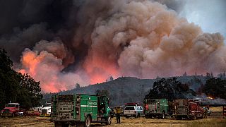 Firefighter dies as forest blazes rage across California