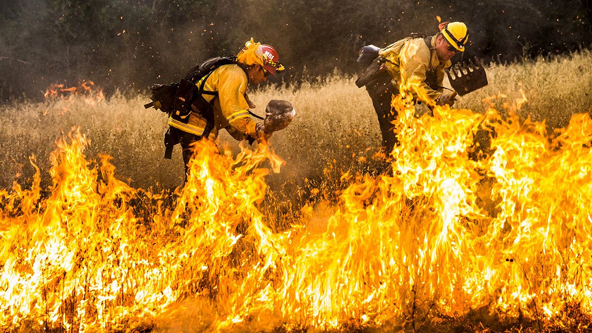 کالیفرنیا همچنان در آتش می سوزد
