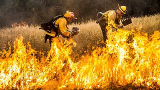 Un bombero muerto en la extinción de los incendios de California