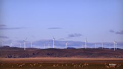 Obamas "Clean Power Plan": Ein Drittel weniger CO2 in 25 Jahren