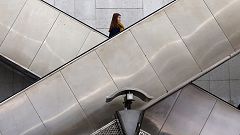 Man loses leg in China's third escalator accident in a week