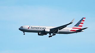 More American airlines ban hunting trophies