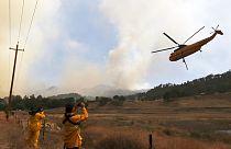 ABD'de orman yangını alarmı