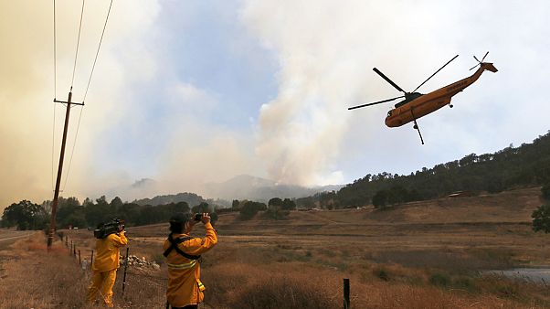 USA: Waldbrände weiter außer Kontrolle - Gefahr durch neue Trockenheit USA: Waldbrände weiter außer Kontrolle - Gefahr durch neue Trockenheit