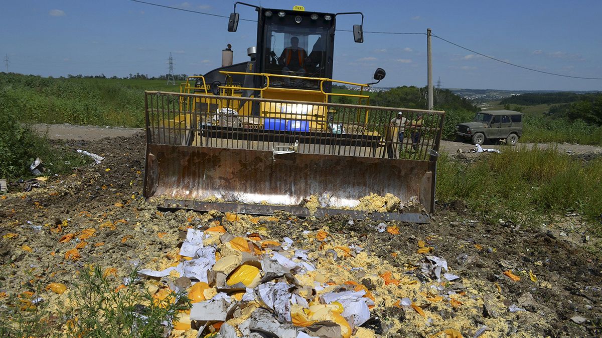 Russia destroys tonnes of illegal food imports at its border